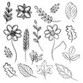 Set of flowers,leaves and twigs. Individual elements are isolated on white background.17 items are hand-drawn.Sketch a beautiful Royalty Free Stock Photo