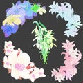 Set flowers lily jasmine, hibiscus, snowdrop. vector illustration