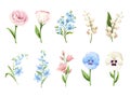 Set of flowers pansy, forget-me-not, lisianthus, lily-of-the-valley isolated on white. Vector illustration