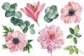 Set of flowers of pink anemones, lily, dahlia and eucalyptus leaves on an isolated white background, watercolor clipart Royalty Free Stock Photo