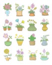 Set Of Flowers Pots Royalty Free Stock Photo