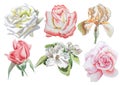 Set with flowers. Rose. Iris. Blossom. Watercolor illustration. Royalty Free Stock Photo