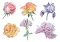 Set with flowers. Rose. Peony. Iris. Watercolor illustration.