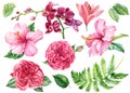 Set of flowers roses, lily, hibiscus, orchid, green leaves on an isolated white background, watercolor clipart Royalty Free Stock Photo