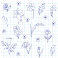 A set of flowers in a school notebook Royalty Free Stock Photo