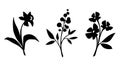 Set of flowers. Vector black silhouettes of flowers isolated on a white background Royalty Free Stock Photo