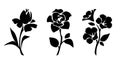 Set of flowers. Vector black silhouettes of flowers isolated on a white background Royalty Free Stock Photo