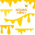 A set of flowing honey. Bee set. Vector isolates on a white background.