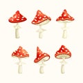 Set of fly agarics set. Amanita Muscaria poisonous forest mushrooms vector illustration Royalty Free Stock Photo