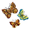 Set of flying decorative butterflies Royalty Free Stock Photo