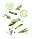 Set of flying fresh cucumber slices and other ingredients on background Royalty Free Stock Photo