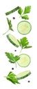 Set of flying fresh cucumber slices and other ingredients on background Royalty Free Stock Photo