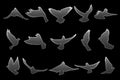 Set of flying gray doves on black background