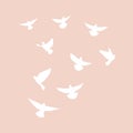 Set of flying pigeons.Silhouette of white doves. Vector illustration Royalty Free Stock Photo