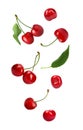 Set of flying ripe sweet cherries on white Royalty Free Stock Photo