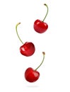 Set of flying ripe sweet cherries on white Royalty Free Stock Photo