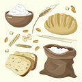 Set of food products from wheat and flour Royalty Free Stock Photo