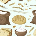 Set of food products from wheat and flour Royalty Free Stock Photo