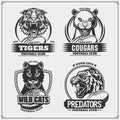 Set of football emblems, badges, logos and labels with tiger, cougars and wildcat. Print design for t-shirt.