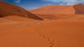 Large red sand dunes in Namibia, with one set of footprints. Royalty Free Stock Photo