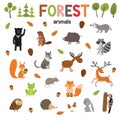 Set of forest animals made in flat style vector. Zoo cartoon collection for children books and posters. Royalty Free Stock Photo