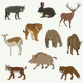 Set of forest animals.