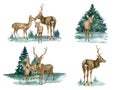 Set of forest deer illustrations. Hand painted realistic watercolor buck, doe and fawn deer sketch. Woodland landscape Royalty Free Stock Photo