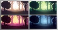 Set of Forest landscape Backgrounds in the sunshine, sunset, sunrise and night. Vector Illustration. Royalty Free Stock Photo