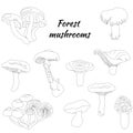 Set of forest mushrooms. Contour black and white sketch. Pale grebe, morel, chanterelle, honey agarics and porcini mushroom.