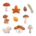 Set Of Forest Mushrooms. Various Fungi Found In Depths Of The Forest, Displaying An Array Of Shapes, Sizes, And Colors