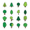 Set forest trees, evergreens coniferous trees and pine