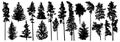 Set of forest trees. Silhouette of pines, spruces, deciduous trees. Vector illustration