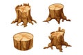 Set forest wooden stump tree trunk with roots, cut section in cartoon style isolated. Plant detailed Royalty Free Stock Photo