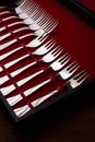 Set of of forks in a case Royalty Free Stock Photo