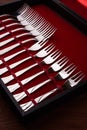 Set of of forks in a case Royalty Free Stock Photo