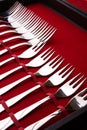 Set of of forks in a case Royalty Free Stock Photo