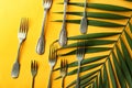 Set of forks on colour background
