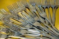Set of forks on the table Royalty Free Stock Photo