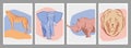 Set of four African animals posters. Vector graphics