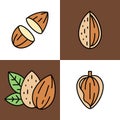 Set of Four Almond Icons Featuring Half Cut Dripping Almond Pair with Leaf Shell Royalty Free Stock Photo
