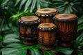 Set of Four Authentic African Djembe Drums on Vibrant Leafy Green Foliage Background Royalty Free Stock Photo