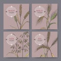 Set of four banenrs with bread wheat, rye, barley and oats color sketch. Cereal plants collection.