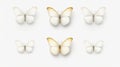 Set four beautiful white butterflies Pieris napi with 1690445029641 1 Royalty Free Stock Photo
