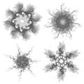 Set of four black snowflakes on a white background. Abstract computer generated fractal image of a snowflake Royalty Free Stock Photo