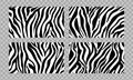 Set of Four Black and White Zebra Stripe Abstract Backgrounds Vector Illustration Transparent Background Modern Graphic Design Royalty Free Stock Photo