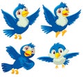 Set of four blue birds