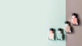 A set of four bottles of nail polish in different colors, green, white, pink and brown shades, top view on a two-tone Royalty Free Stock Photo