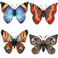 Set of four brightly coloured butterflies