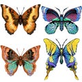 Set of four brightly coloured butterflies