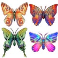 Set of four brightly coloured butterflies